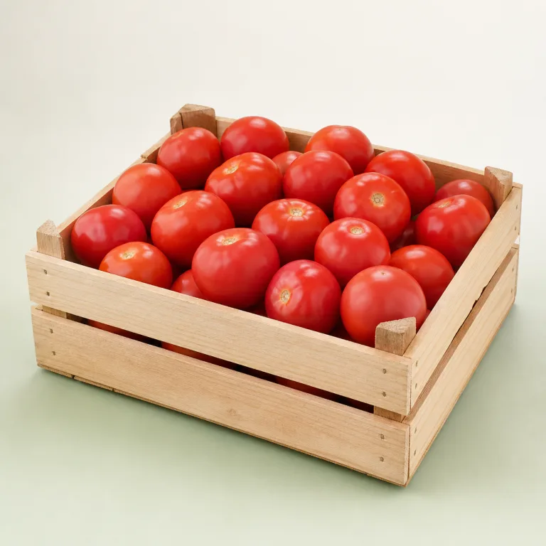 Fresh Tomatoes